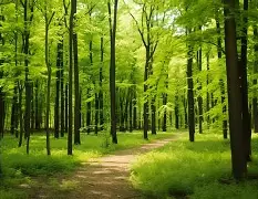 开云APP下载-峰度控股骆国峰